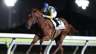 【優駿スプリント予想】スプリント戦ならカプリフレイバーが最有力!!/NARレース展望