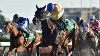 【次走】コパノキッキングは武豊騎手と新コンビでサマーチャンピオンへ