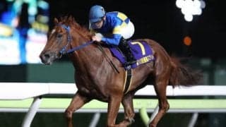 【大井・優駿スプリント結果】カプリフレイバーが断然人気に応え逃げ切りV！スプリントではデビュー5戦5勝