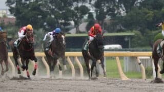 【ユニコーンS】カフェファラオが無傷の3連勝！重賞初制覇