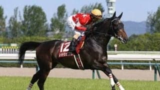 波乱が多い宝塚記念。BIGボーナスをもたらす穴馬パターンは２つある