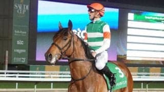 【帝王賞】枠順と見どころ クリソベリルは5枠8番