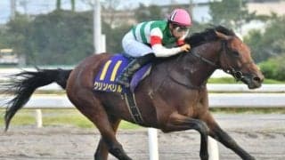 【帝王賞予想】豪華メンバーで争われるダート王決定戦!!/NARレース展望