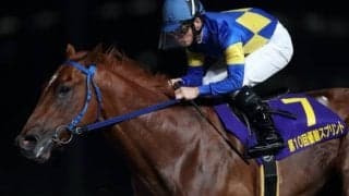 【大井・優駿スプリント】スプリント無敗のカプリフレイバーに繁田健一騎手「固まってくればもっと走れる」