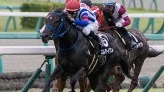 【門別競馬情報】JRA函館2歳Sへの出走資格を得る素質馬は？大注目の9R「JRA認定ウィナーズチャレンジ2競走」/地方競馬情報