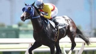 笹川翼騎手が地方競馬通算900勝を達成！TCK所属騎手でデビューから最速