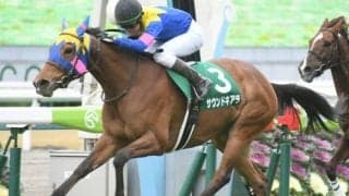 【次走】サウンドキアラはスワンSか富士Sで始動予定　ヴィクトリアマイルでは2着