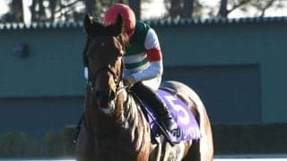 【帝王賞・馬体重】クリソベリルは540(前々走-10)kg、オメガパフュームは452(-8)kg