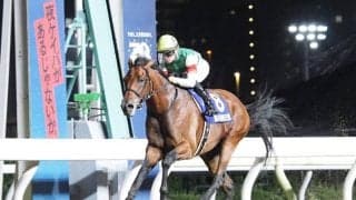 【帝王賞】国内に敵なし！クリソベリルが圧勝