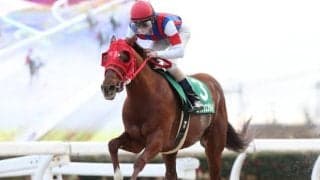 【園田FCスプリント予想】高知馬が馬券圏外はたった1回 高知のダノングッドか地元エイシンエンジョイか/NARレース展望