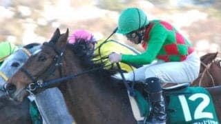 【門別競馬情報】プレイアンドリアルを筆頭に活躍馬多数、注目の新馬戦！第6R「JRA認定スーパーフレッシュチャレンジ2競走」/地方競馬情報