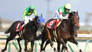 【宝塚記念枠順確定】サートゥルナーリアは3枠5番、ラッキーライラックは6枠11番