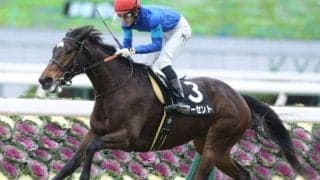 【次走】マーメイドSで重賞初制覇のサマーセントは小倉記念を視野