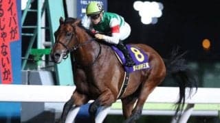 【帝王賞回顧】若い世代が台頭もクリソベリルが圧倒(斎藤修)