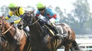 【次走】函館SS覇者ダイアトニックはキーンランドCへ