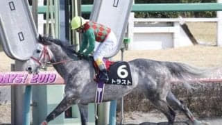 【東京ジャンプS出走馬・騎手確定】トラスト＆熊沢重文騎手、ケイティクレバー＆平沢健治騎手など14頭