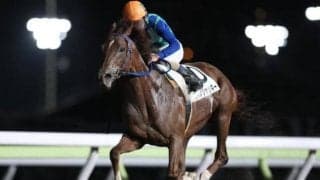 【大井・マイルグランプリTR結果】コパノジャッキーが6馬身差突き放し3連勝