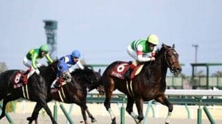 【宝塚記念】出走馬の調教後の馬体重