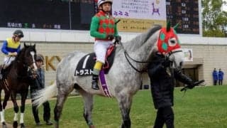 【東京JS枠順確定】トラストは5枠7番、ケイティクレバーは8枠13番