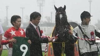 【CBC賞想定】高松宮記念1位入線クリノガウディー、昨年覇者レッドアンシェルなど17頭