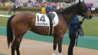 【ラジオNIKKEI賞想定】前走超速時計のサクラトゥジュール、連勝中パラスアテナ・グレイトオーサー・ルリアンなど