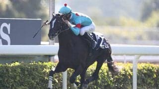 【宝塚記念予想】 サマーグランプリを制するための“3つのポイント”！ 時計のかかる馬場だからこそ狙いたい穴馬の条件とは？/JRAレース展望