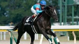 宝塚記念は地味な実力馬に要注意。人気馬に圧勝の再現をマジで狙う
