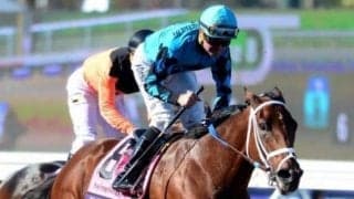 【海外競馬】ロイエイチが引退　BCスプリント連覇など米G1・4勝