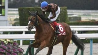 【宝塚記念ゴールデンコンビ】「直近1年」の複勝率50.0％、複勝回収率131.8％！「森田直行厩舎×池添謙一騎手」のモズベッロ