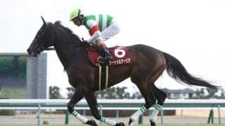 【宝塚記念前日オッズ】サートゥルナーリアが2.8倍で1番人気