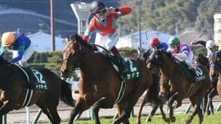 【宝塚記念予想】 3人の記者がサマーグランプリの行方を占う！ 攻略のカギを握るのは“馬場適性”と“展開”!?/JRAレース展望
