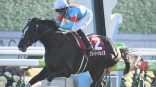 【宝塚記念予想】 有力馬4頭の順番づけが悩ましい夏のグランプリ/JRAレース展望