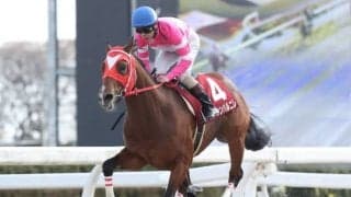 【ウイナーカップ予想】マイランコントルの重賞初制覇か!? あるいは混戦を極めるのか!?/NARレース展望
