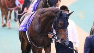 【宝塚記念・馬体重】サートゥルナーリアは508kg(+6)、グローリーヴェイズは460kg(+14)