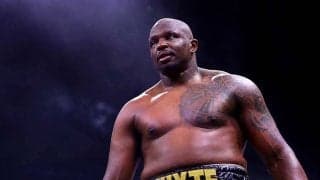 庭で世界戦開催！　異例の“青空リング”の実物公開に英驚き「CG？それとも本物？」