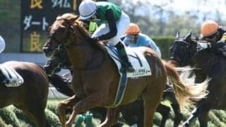 【CBC賞見どころ】高松宮記念1位入線のクリノガウディーが人気の中心