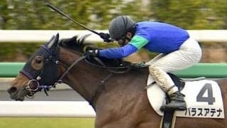 【ラジオNIKKEI賞見どころ】パラスアテナが重賞初制覇を狙う