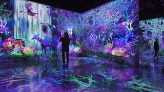 世界的アート集団「チームラボ」と合体　7月21日開業の鷹の新ビルを解剖