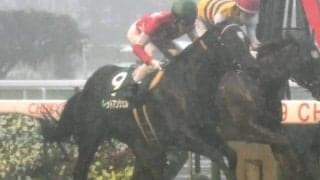 【CBC賞ハンデ確定】高松宮記念1位入線クリノガウディーは58kg、昨年覇者レッドアンシェルは57kg