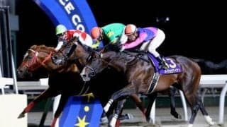 【グランシャリオ門別スプリント枠順確定】JRA勢撃破メイショウアイアンは5枠5番、重賞5勝アークヴィグラスは3枠3番