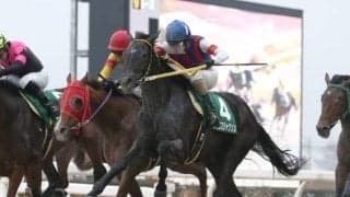 【ジャパンダートダービー】JRAはキメラヴェリテ回避でキタノオクトパス繰り上がり　地方馬も入れ替わり