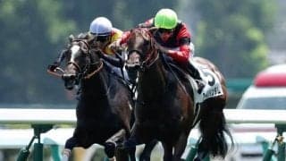 【ラジオNIKKEI賞出走馬決定順】フルゲート16頭に14頭の登録　3頭は自己条件との重複登録