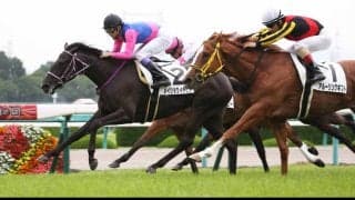 【新馬/阪神5R】武豊メイショウイチヒメが人気に応える！