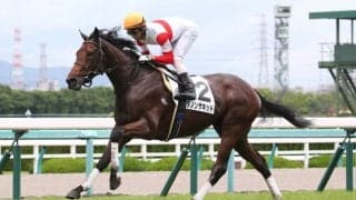 【新馬/阪神5R】ジャスタウェイ産駒 ダノンザキッドがデビューV