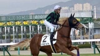 【ラジオNIKKEI賞展望】ローカルの3歳ハンデ戦、あの馬に注目したい