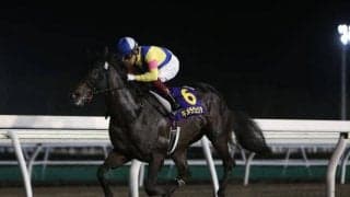 【ラジオNIKKEI賞想定騎手】パラスアテナは武豊騎手、キメラヴェリテは北村宏司騎手