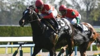 【CBC賞想定騎手】クリノガウディーは横山典弘騎手、レッドアンシェルは福永祐一騎手