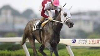 久々に行われたJRA交流競走は美浦のスパークジョイが初勝利！