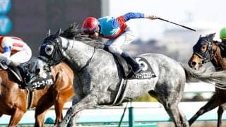 活躍目立つマイナー新種牡馬と九州産馬/斎藤修コラム
