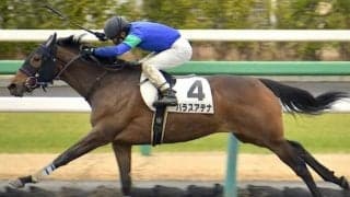 【ラジオNIKKEI賞予想オッズ】武豊騎手とコンビのパラスアテナが人気の中心